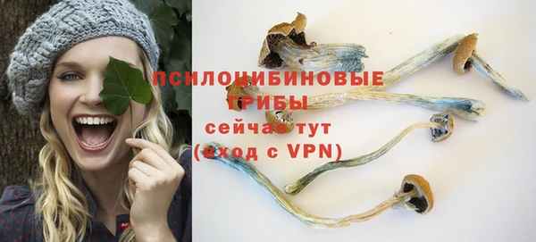 прущие крисы Алзамай