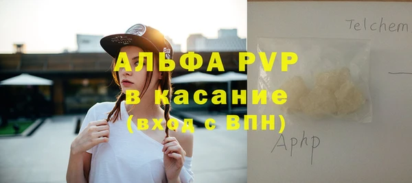 индика Алексин