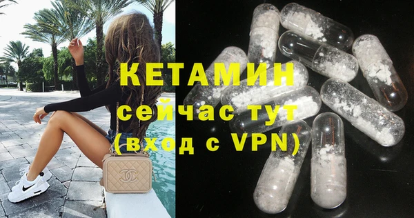 индика Алексин
