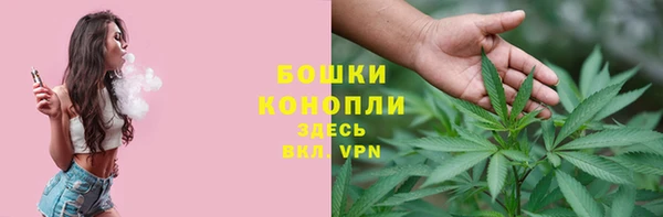 индика Алексин