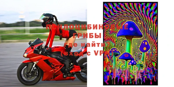 прущие крисы Алзамай