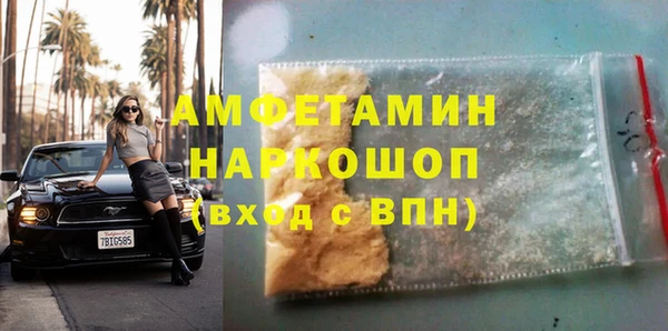 индика Алексин