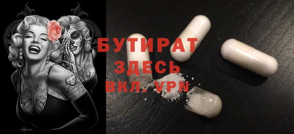 индика Алексин