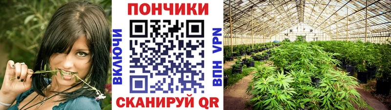 Бошки марихуана Bruce Banner  цены наркотик  Ивангород 